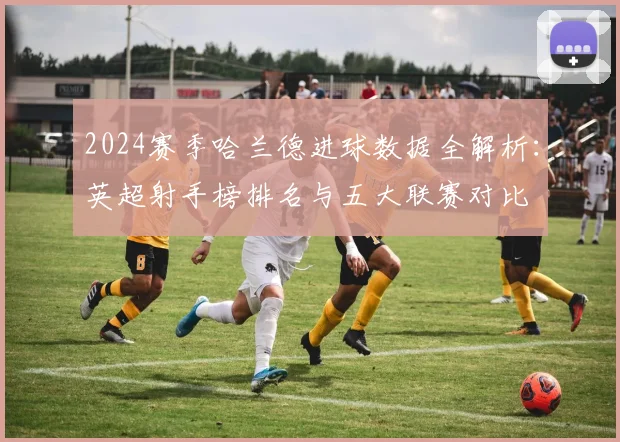 2024赛季哈兰德进球数据全解析：英超射手榜排名与五大联赛对比